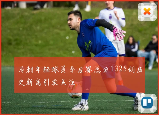 马刺年轻球员季后赛总分1325创历史新高引发关注